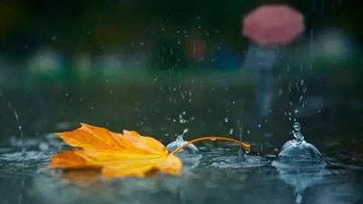 'Bugun O`zbekistonda havo o`zgaradi, ikkita hududda yomg`ir yog`ishi  kutilmoqda'ning rasmi