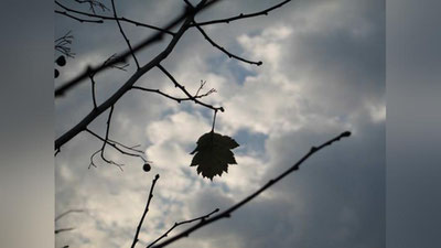 Изрображение 'ПРОГНОЗ НА 29 ЯНВАРЯ: ПОГОДА ОСТАЕТСЯ ПАСМУРНОЙ'