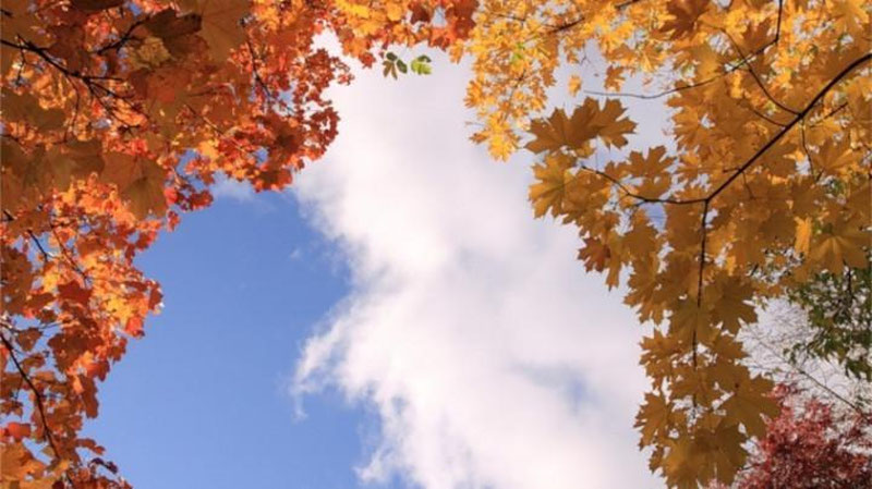 Изрображение 'ПРОГНОЗ ПОГОДЫ В УЗБЕКИСТАНЕ НА 14 СЕНТЯБРЯ'