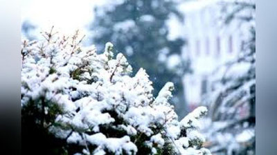 'Ertaga O`zbekistonning ayrim hududlarida qor yog`adi'ning rasmi