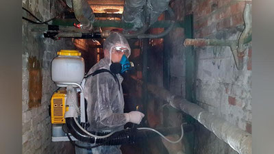 Изрображение 'КТО ПРОВОДИТ ДЕЗИНСЕКЦИЮ ПОДВАЛОВ?'