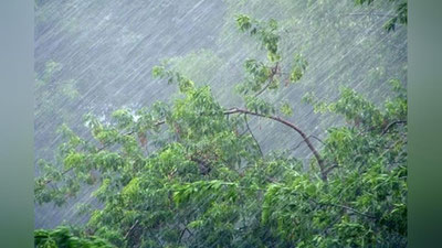 'Кучли ёмғир, шамол, момақалдироқ... Дам олиш кунлари қаерда қандай об-ҳаво бўлиши маълум қилинди'ning rasmi