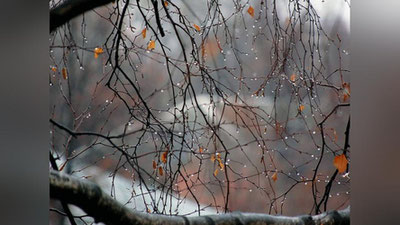 'Bugun ayrim hududlarda yomg`ir yog`ishi kutilmoqda'ning rasmi