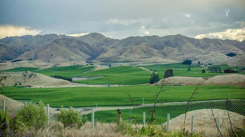 'Ertaga O`zbekistonda havo harorati biroz pasayadi'ning rasmi