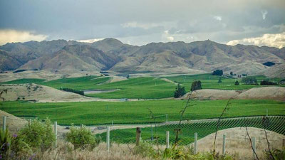 'Ertaga O`zbekistonda havo harorati biroz pasayadi'ning rasmi