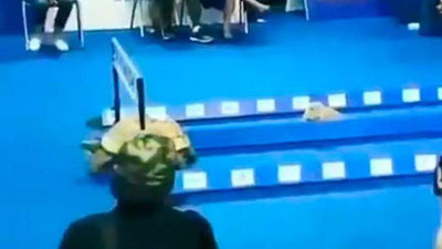 Изрображение 'Черепаха в "гонках на скорость" обогнала кота (видео)'