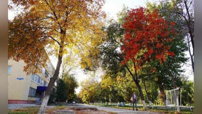 'Bugun harorat biroz ko`tariladi. Ob-havo ma`lumoti'ning rasmi