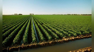 'O`zbekistonda yil boshida rejalashtirilgan limitdan 116 % ko`p suv ishlatildi'ning rasmi