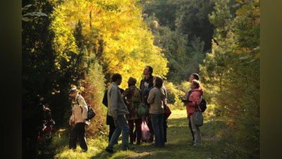 'O`zbekistonliklarni issiq yozdan so`ng birinchi kuzgi sovuq kutmoqda'ning rasmi