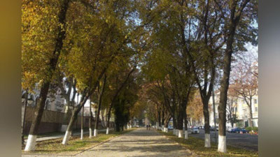 'Hafta davomida ob-havo qanday bo`lishi ma`lum qilindi'ning rasmi