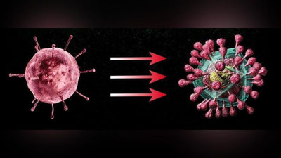 'JSST koronavirus mutasiyalarini aniqlash uchun maxsus ishchi guruh tuzdi'ning rasmi