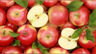 'O`zbekiston 10 oyda 18 ming tonnaga yaqin olma eksport qildi'ning rasmi