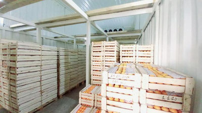 'Biznes g`oya: 100 tonnalik sovuqxona qurish uchun qancha mablag` zarur?'ning rasmi