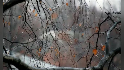 'Bu hafta ob-havo qanday bo`lishi ma`lum qilindi'ning rasmi