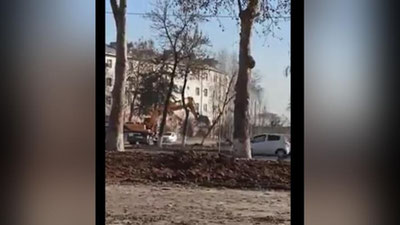 'Toshkentda daraxtlarni ekskavator bilan qulatayotgan holat bo`yicha ma`lumot berildi (video)'ning rasmi