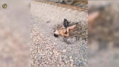 'Toshkentda poezd ustiga chiqib, selfi qilmoqchi bo`lgan yigitni 27 ming voltli tok urdi (video)'ning rasmi