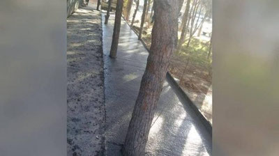 Изрображение 'На Юнусабаде деревья залили бетоном'