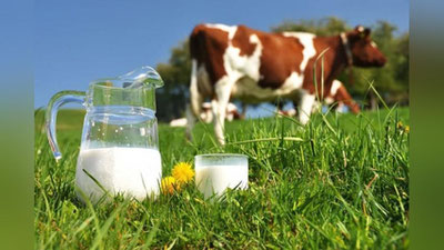 '2020 yilda qaysi hududda eng ko`p sut etishtirilgan?'ning rasmi