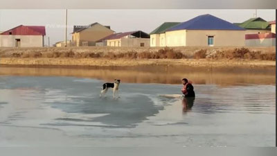 'Nukusda kanaldagi muz bo`lagida ikki kun qolib ketgan it qutqarib olindi (video)'ning rasmi