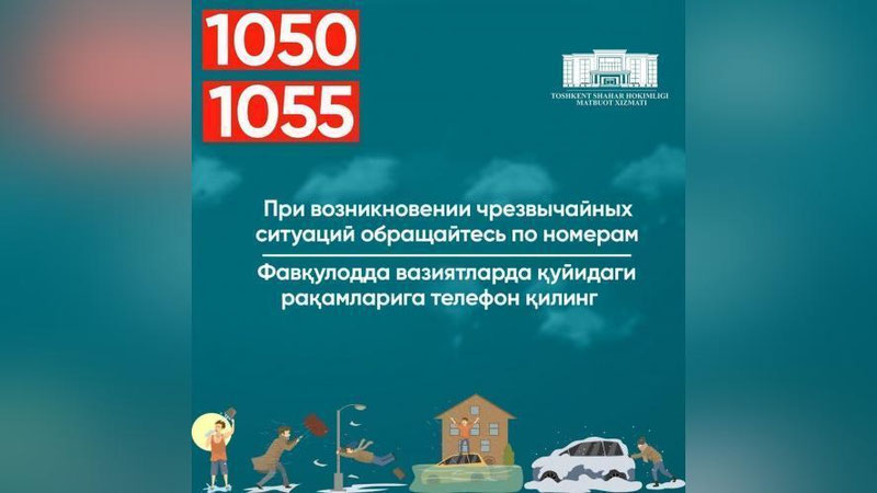 Изрображение 'Ташкентцев призвали не ставить машины под деревья и баннеры'