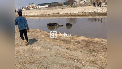 'Buxoroda yuk mashinasi beton ariqqa quladi(foto va video)'ning rasmi