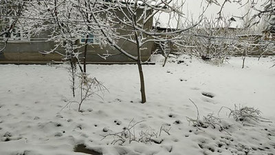 'Qashqadaryoning 8 ta hududida kuchli shamol, yomg`ir va qor tufayli elektr ta`minotida uzilishlar kuzatilmoqda'ning rasmi