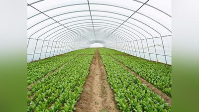 'Nishon tumanida 713,8 mln so`m imtiyozli kredit mablag`lari talon-toroj qilinganligi fosh etildi'ning rasmi