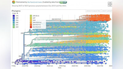 'O`zbekistonlik olimlar tomonidan yurtimizda tarqalgan SARS-CoV-2 virusining 32 ta genomi to`liq o`qildi'ning rasmi