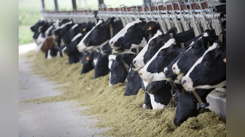 'Kasbi tumanida ham kredit mablag`i talon-toroj qilindi'ning rasmi