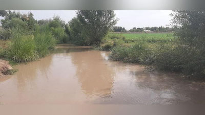 'Xorazmda 82 yoshli ayol katta ariqqa tushib ketdi'ning rasmi