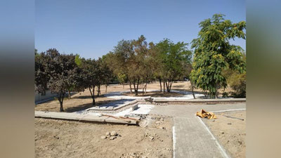 Изрображение 'В парке Бабура спасают деревья от полного высыхания: волонтеров ждут на хашар'