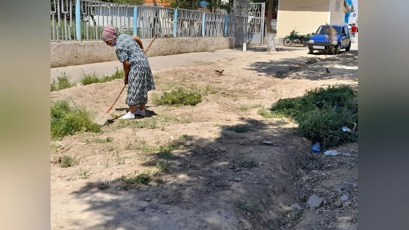 'Koson tumanidagi tibbiyot xodimlari bir haftalik "hashar"ga majburlandi'ning rasmi