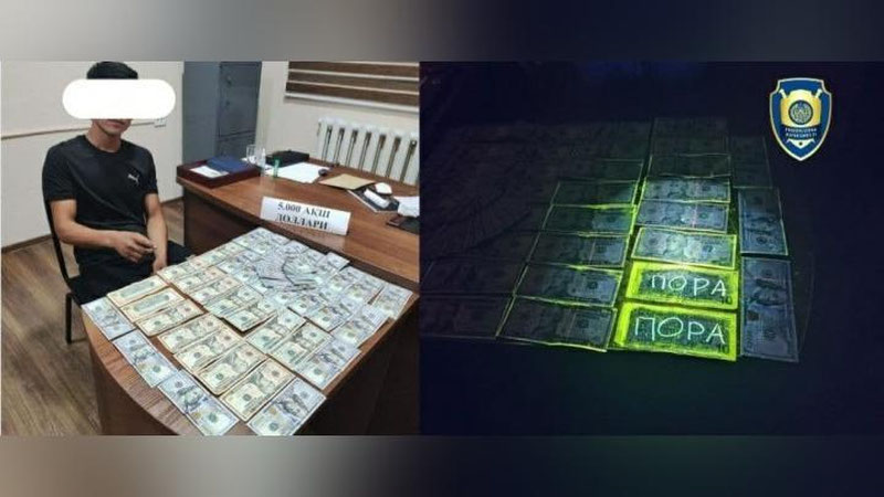 'Yangihayot tumanida fuqaroning o`qishini ko`chirtirib berishni va`da qilgan firibgar ushlandi'ning rasmi