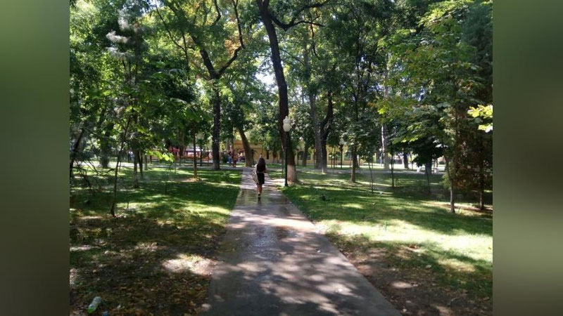 Изрображение 'В Ташкенте +34: погода на 26 июня'