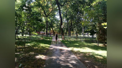 Изрображение 'В Ташкенте +34: погода на 26 июня'