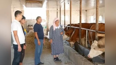 'Namanganga horijdan naslli qoramollar olib kelinmoqda'ning rasmi