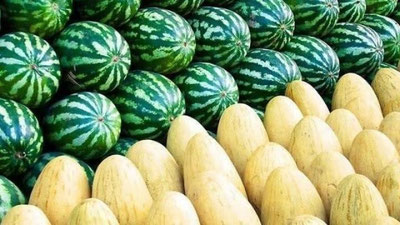 'O`zbekiston qovun va tarvuz eksportidan qancha daromad qilgan?'ning rasmi