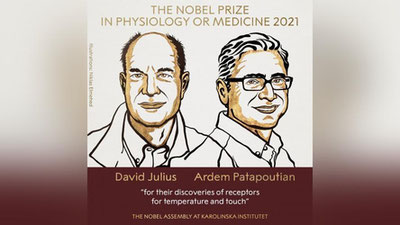 Изрображение 'Объявлены имена лауреатов Нобелевской премии по медицине'