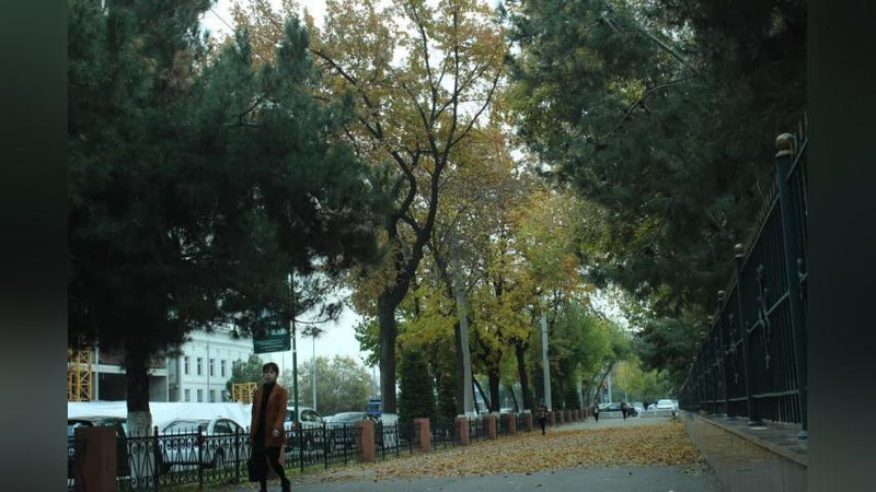 'Ertaga O`zbekiston bo`ylab qanday ob-havo kuzatiladi?'ning rasmi