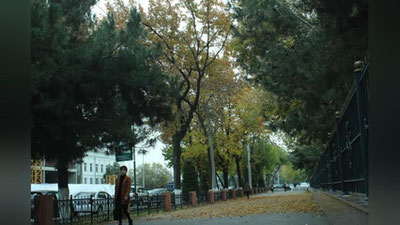 'Ertaga  O`zbekiston bo`ylab qanday ob-havo kuzatiladi?'ning rasmi