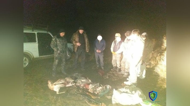 'Қорақалпоғистонда жайрон овчилари қўлга олинди'ning rasmi