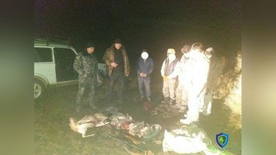 'Қорақалпоғистонда жайрон овчилари қўлга олинди'ning rasmi