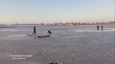 'Қорақалпоғистонда муз ўртасида қолиб кетган 2 ўсмир қутқариб олинди (видео)'ning rasmi