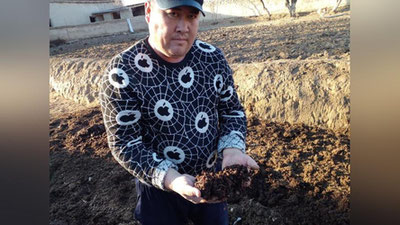 'Бир марта сармоя тикиб яхшигина даромад топиш: қамашилик фуқаро биогумус тайёрлаб сотмоқда'ning rasmi