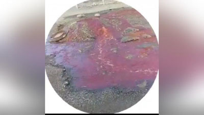 'Наманганда канализациядан қон оқаётгани бўйича расмий изоҳ берилди'ning rasmi