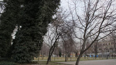 'Ушбу ҳафта давомида Ўзбекистон бўйича беқарор об-ҳаво кутилмоқда, яъни...'ning rasmi