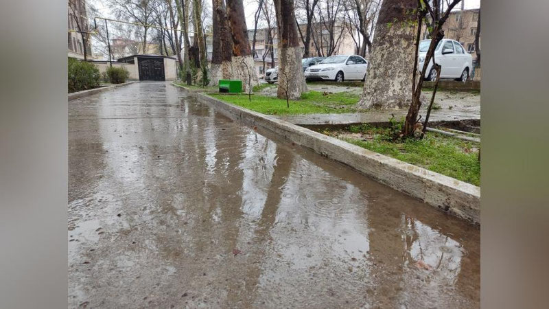 Изрображение 'В Ташкенте дождь с переходом в снег: погода на 23 марта'