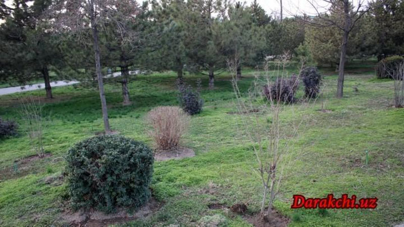 'Бугун Ўзбекистон бўйлаб ёғингарчилик кутилмайди, бироқ 3та ҳудудда чанг-тўзон бўлиши кутилмоқда'ning rasmi