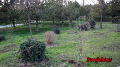 'Бугун Ўзбекистон бўйлаб ёғингарчилик кутилмайди, бироқ 3та ҳудудда чанг-тўзон бўлиши кутилмоқда'ning rasmi