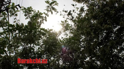'Ўзбекистонда 28 апрель куни кутилаётган об-ҳаво маълумоти эълон қилинди'ning rasmi